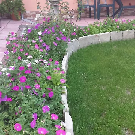Lejlighed Stonel Veliko Tarnovo